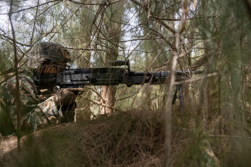 RD 25 | 12th and 3rd MLR Marines Execute Notional NMESIS Fire Missions