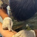 Paratroopers conduct walking blood bank during Exercise African Lion in Tunisia