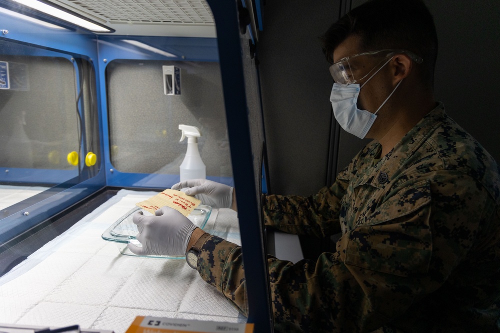 RD25 | 3d Intelligence Battalion and 9th Engineer Support Battalion conduct vehicle-borne improvised explosive device scenario