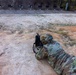 OC/T Fires at Zero Target