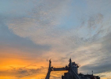 SDDC Facilitates 3rd ID Cargo Container and Vehicle Vessel Load at Dames Point