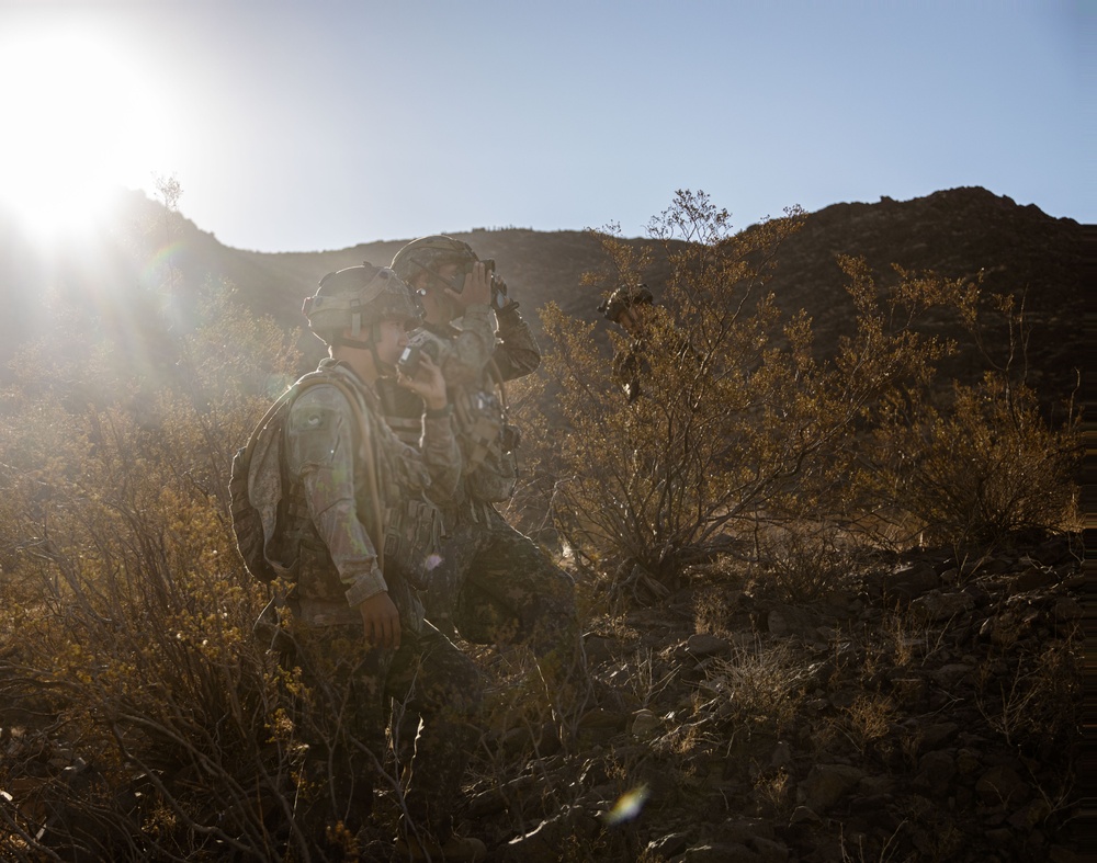 NTC: 1st ANGLICO, ROK Army, and U.S Soldiers conduct Force on Force