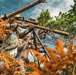 ISTC Alpine Sniper Course
