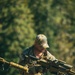 ISTC Alpine Sniper Course