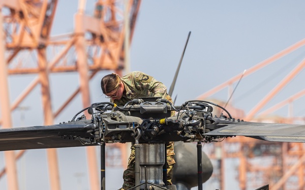 101st Combat Aviation Brigade port operations