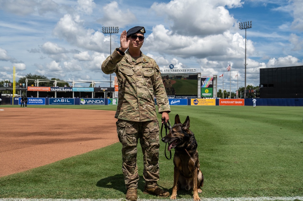 Tampa Bay Rays host AF Birthday Celebration