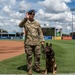 Tampa Bay Rays host AF Birthday Celebration