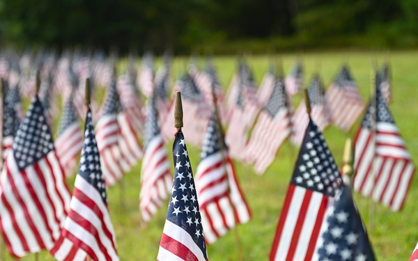 Flags For Forgotten Soldiers represent the number of veterans who die by their own hand every month.