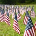 Flags For Forgotten Soldiers represent the number of veterans who die by their own hand every month.