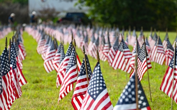 Flags For Forgotten Soldiers represent the number of veterans who die by their own hand every month.