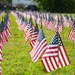 Flags For Forgotten Soldiers represent the number of veterans who die by their own hand every month.