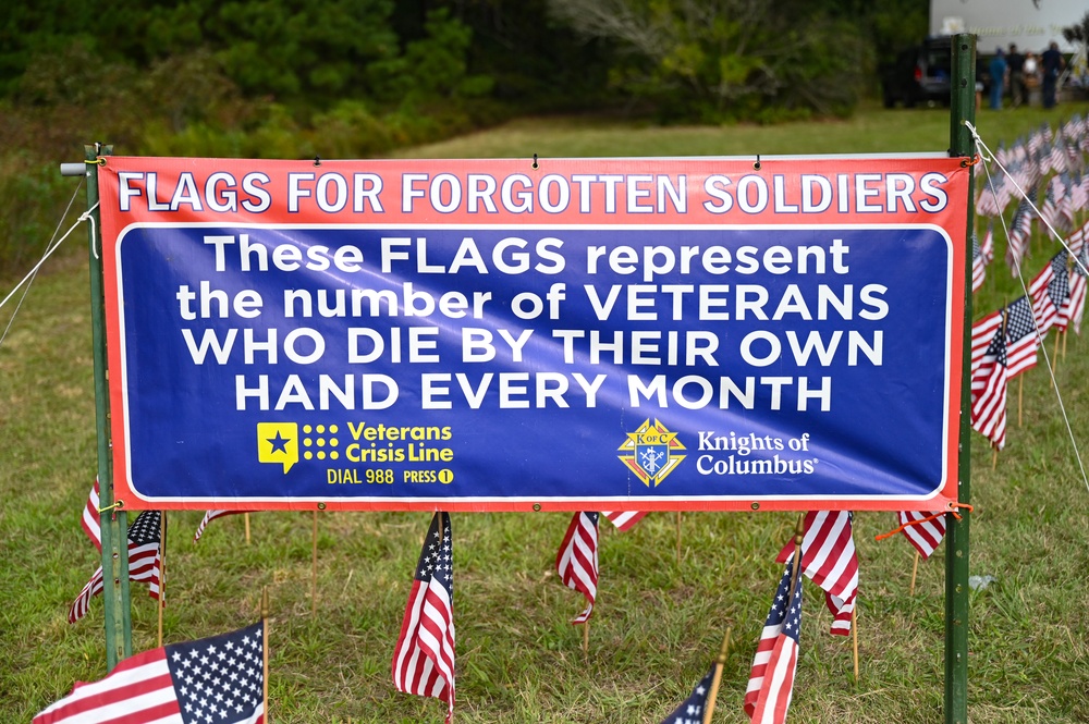 Flags For Forgotten Soldiers represent the number of veterans who die by their own hand every month.