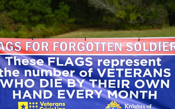 Flags For Forgotten Soldiers represent the number of veterans who die by their own hand every month.