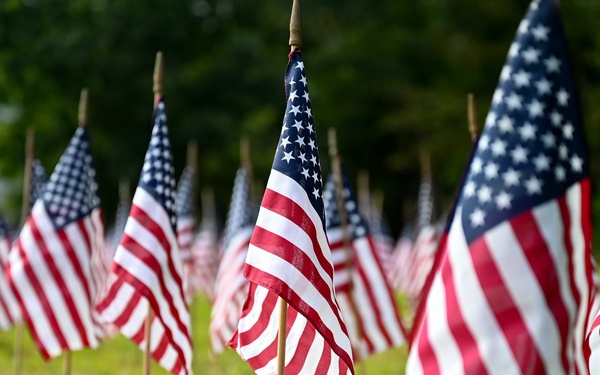 Flags For Forgotten Soldiers represent the number of veterans who die by their own hand every month.