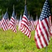 Flags For Forgotten Soldiers represent the number of veterans who die by their own hand every month.