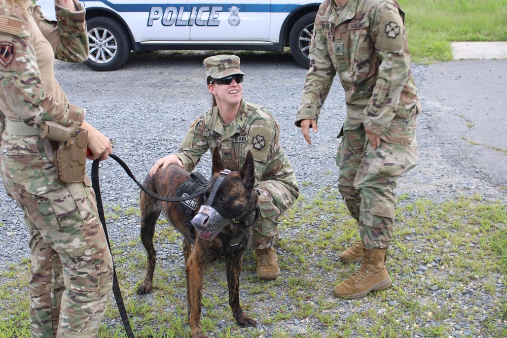 Building Soldiering Skills: How a Veterinary Detachment Trains for Large-Scale Combat