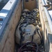 UNITAS 2025 | 2nd Distribution Support Battalion Marines Showcase Autonomous Low-Profile Vessel 