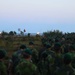 U.S. Marines join Swedish Marines at Viking Night in Korso