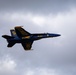 2025 NAS Oceana Air Show
