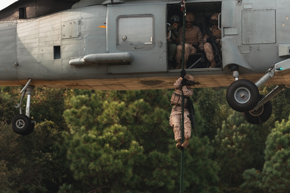 UNITAS 2025: Spanish marines conduct HRST training at MCB Camp Lejeune