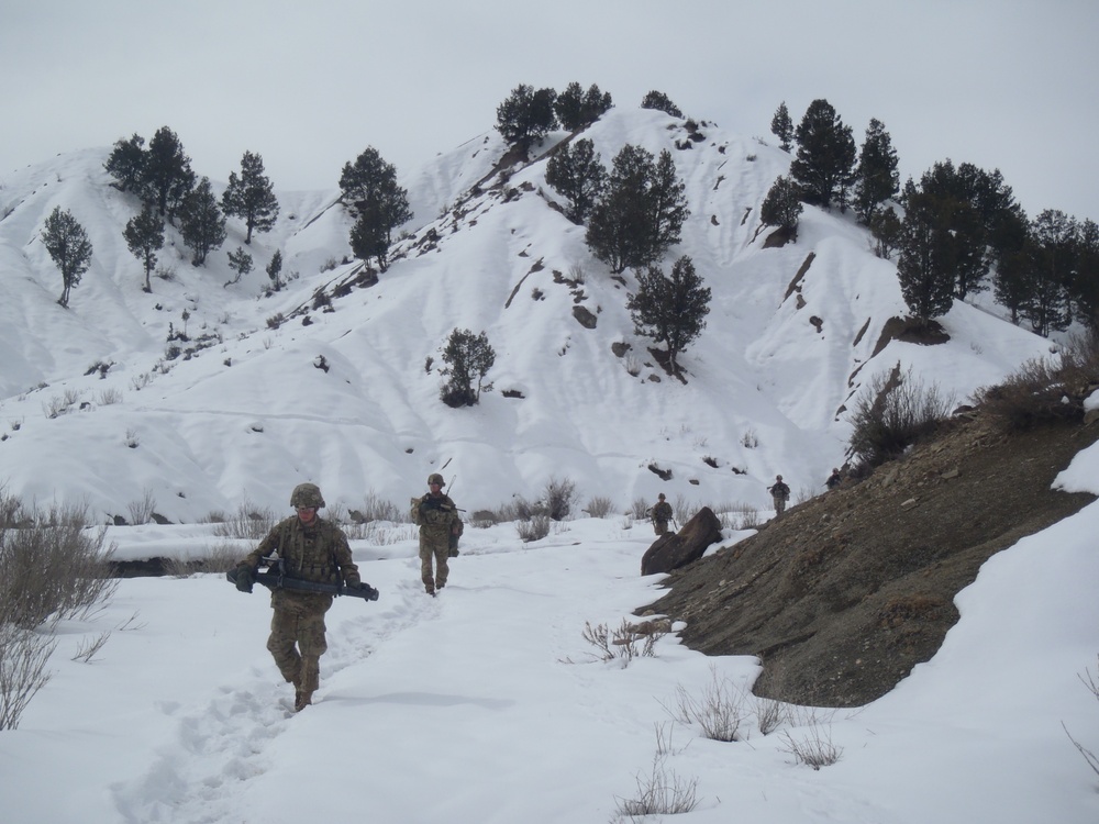Screaming eagles on patrol