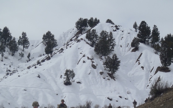Screaming eagles on patrol