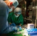 Partnership in Practice: U.S., Panamanian Gastro Teams Tackle Backlog Together