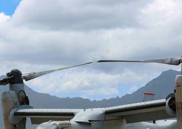 VMM-363 returns from MRF-D 25.3