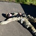 Veterinary Readiness Activity Soldier of the Year MSTC