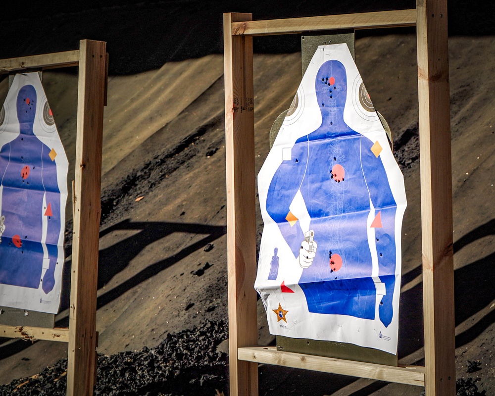 Protective Services M17 Qualifications