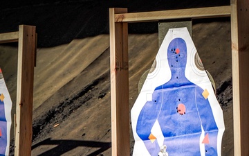 Protective Services M17 Qualifications