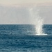 Bilateral Maritime Exercise Infinite Defender 25