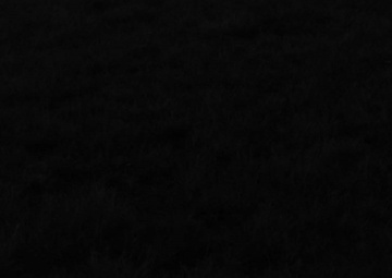 About Contact Us cont