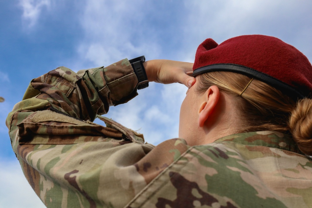 Through Glare and Grace: Rigger Commander Observes Allied Descent