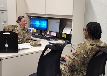 Talent Management Consultant