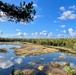 A wetland on the Superior National Forest in golds and browns during the fall.