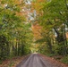 Fall color starts to shine in the tree canopy on the 600 Road-Superior National Forest
