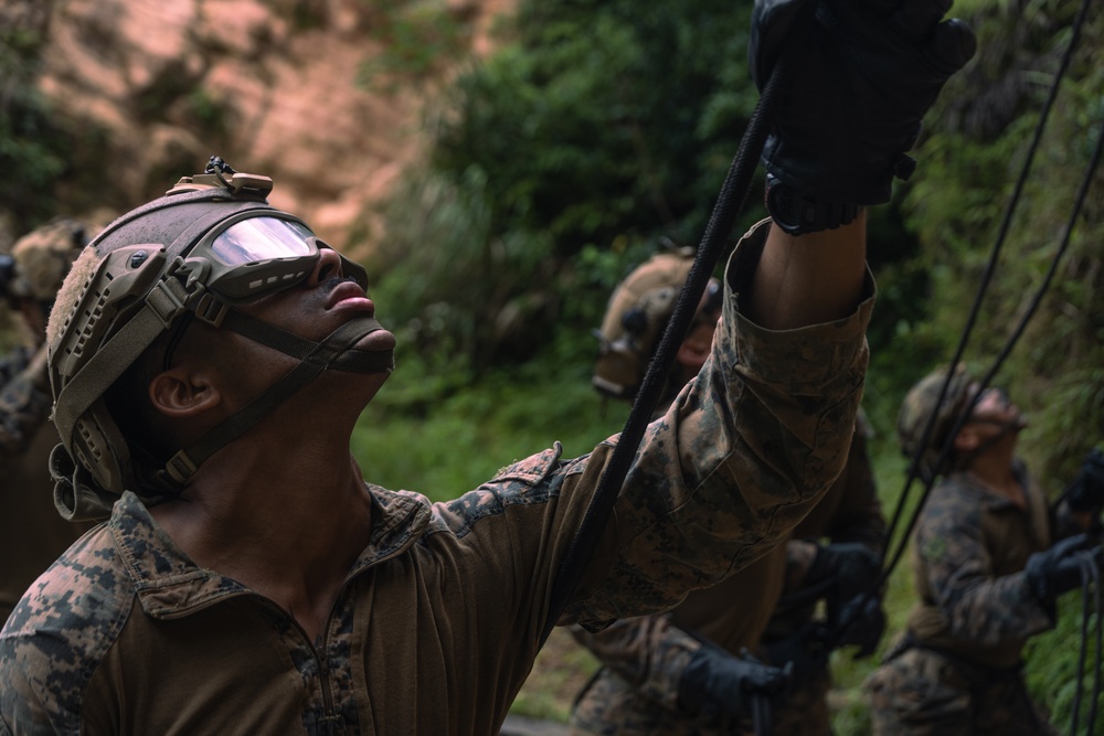 31st MEU | Animal Co. BLT 1/7 at JWTC