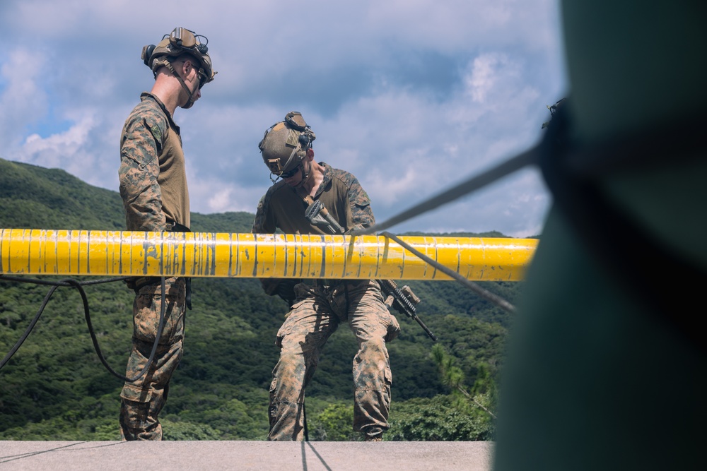 31st MEU | Animal Co. BLT 1/7 at JWTC