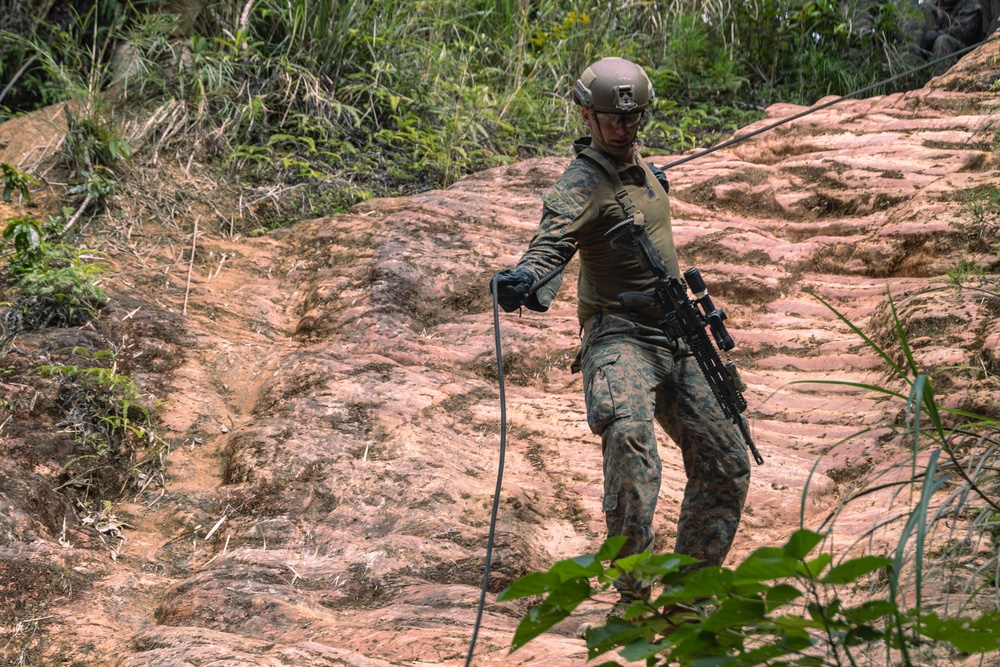 31st MEU | Animal Co. BLT 1/7 at JWTC