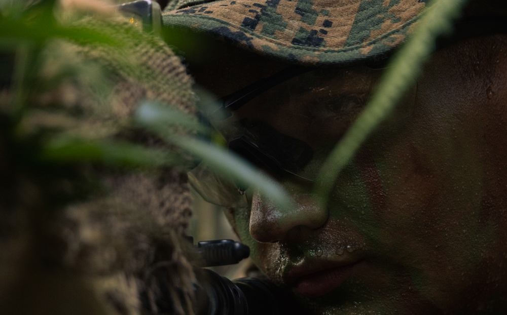 31st MEU | Animal Co. BLT 1/7 at JWTC