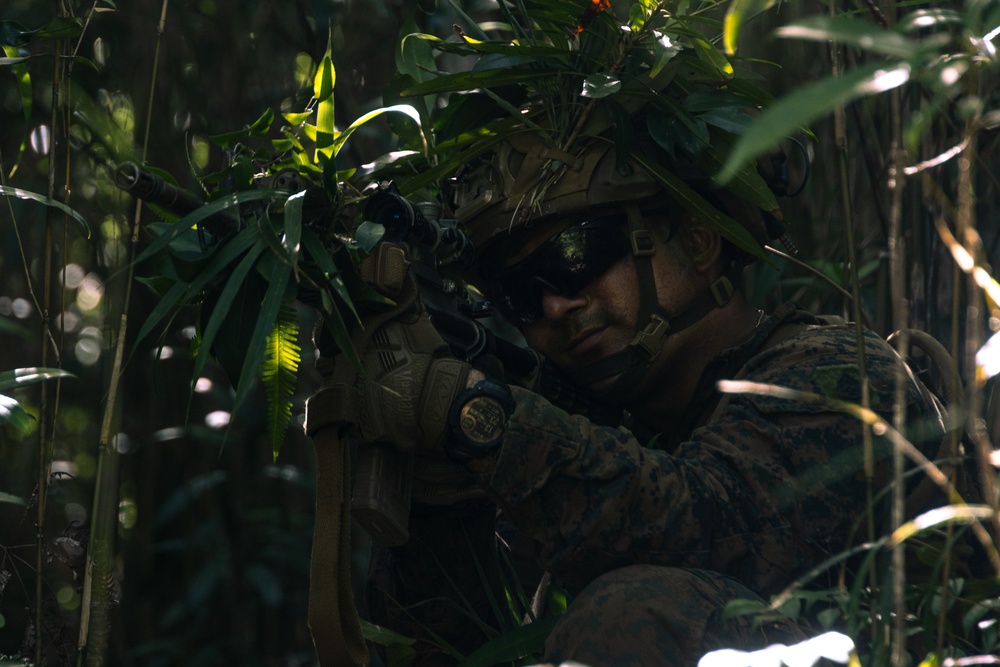31st MEU | Animal Co. BLT 1/7 at JWTC