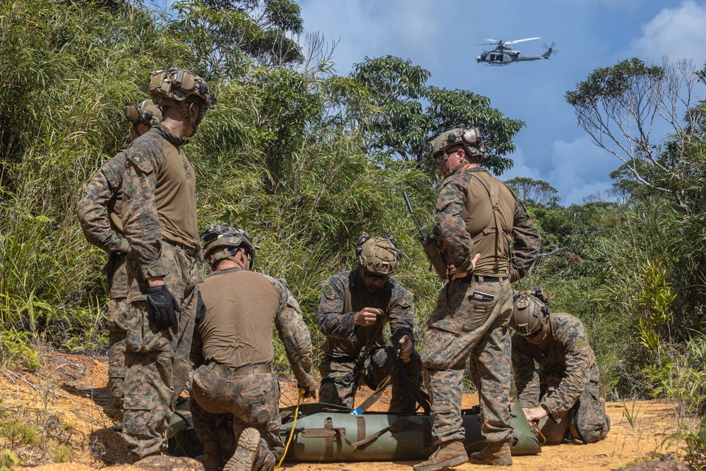 31st MEU | Animal Co. BLT 1/7 at JWTC