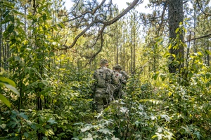 Operation Lion's Leap Audio