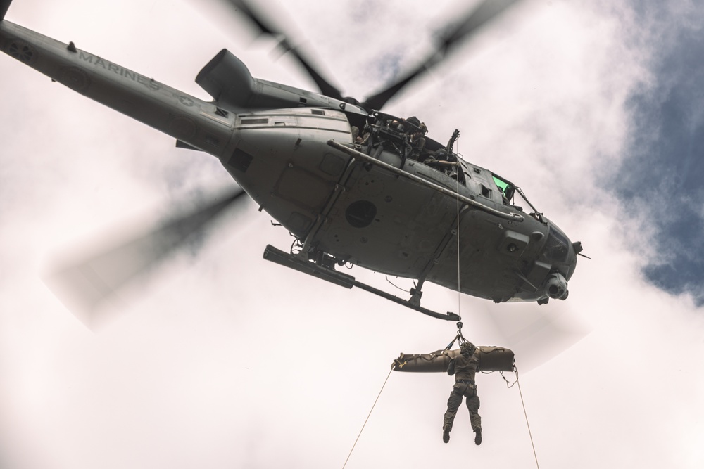 31st MEU | Animal Co. BLT 1/7 at JWTC