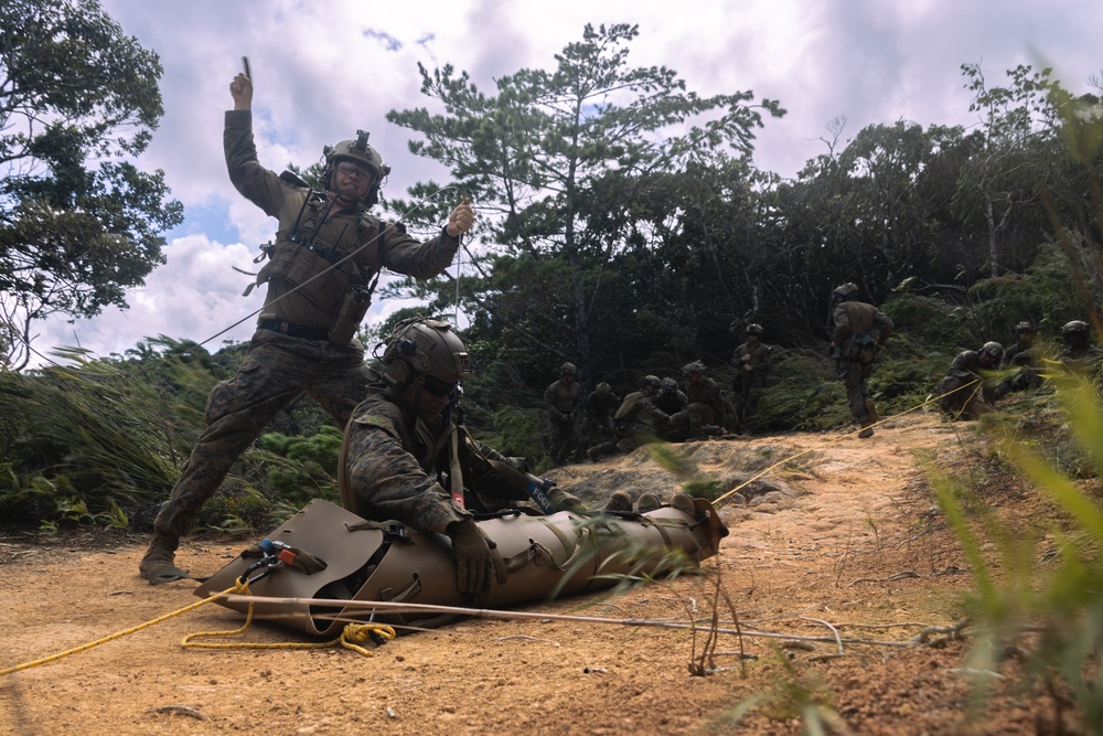 31st MEU | Animal Co. BLT 1/7 at JWTC