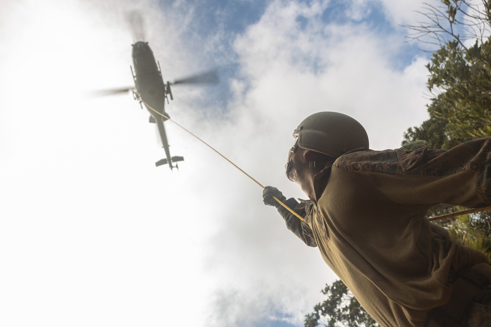 31st MEU | Animal Co. BLT 1/7 at JWTC