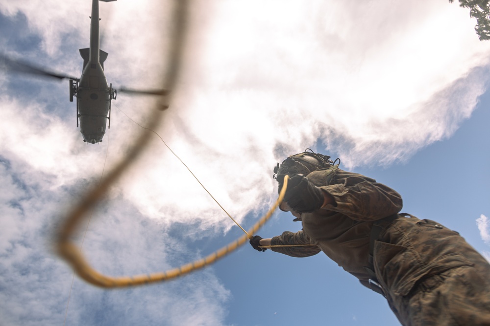 31st MEU | Animal Co. BLT 1/7 at JWTC