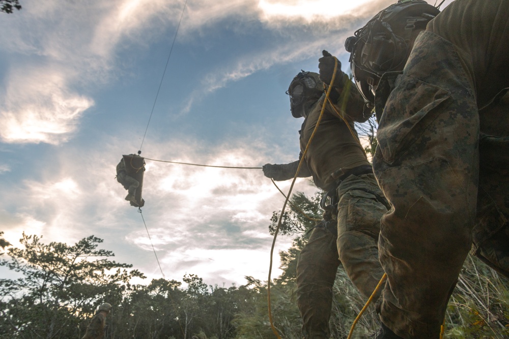 31st MEU | Animal Co. BLT 1/7 at JWTC