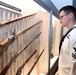 Hartford Sailors Visit Springfield Armory